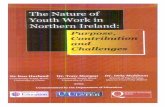 The_Nature_of_Youth_Work_in_Northern_Ireland…uir.ulster.ac.uk/9570/1/The_Nature_of_Youth_Work_in_Northern... · 1 The Nature of Youth Work in Northern Ireland: Purpose, Contribution
