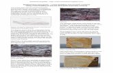 Sedimentary structures - cross-bedding and ancient · PDF fileUsing cross-bedding to find the directions of ancient currents This activity links with the Earthlearningidea activity
