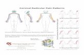 Cervical Radicular Pain Patterns -  · PDF fileCervical Radicular Pain Patterns. A. Created Date: 12/13/2012 7:48:26 AM
