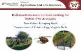 Deltamethrin-incorporated netting for BMSB IPM · PDF fileDeltamethrin-incorporated netting for BMSB IPM strategies Tom Kuhar & Hayley Bush Department of Entomology, Virginia Tech
