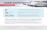 USER EXPERIENCE - California State University, Fullertonextension.fullerton.edu/.../assets/pdf/infosheets/UserExperience.pdf · User experience—which can be described as a practical