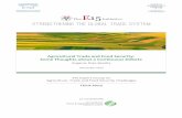 The Initiativ e Strengthening the Global Trade System · PDF fileThe E 15 Initiativ e Strengthening the Global Trade System Co-convened with ... SSM Special Safeguard Mechanism ...