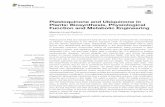 Plastoquinone and Ubiquinone in Plants: Biosynthesis ... · PDF fileto the biosynthesis of precursors of benzene quinone ring and prenyl side chain. ... triterpenoids, carotenoids,