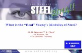 What is the “Real” Young’s Modulus of Steel?/media/Files/Autosteel/Great Designs in Steel... · w w w . a u t o s t e e l . o r g What is the “Real” Young’s Modulus of
