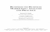 BUSINESS-TO-BUSINESS MARKETING: ANALYSIS AND PRACTICE · PDF fileBUSINESS-TO-BUSINESS MARKETING: ANALYSIS AND PRACTICE ... THE SPECIAL CASE OF AN INTEGRATED SUPPLY CHAIN 62 ... Chapter