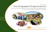 Corporate Employee Environmental Education Survey and Case ... · PDF fileSmall Company Clean Clothes, Inc ... Corporate Employee Environmental Education Survey and Case Study Findings