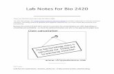 Lab Notes for Bio 2420 - Austin Community  · PDF fileLab Notes for Bio 2420 _____ These are ... Coagulase test ... Understand how to report Gram stain results