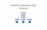 CS343 Embedded SQL Tutorial - cs. · PDF file4 loadDriver getConnection public static void main(String createStatement execute(SQL) Result handling More results ? close Statment close