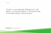 Fair Lending Report of the Consumer Financial Protection ... · PDF filefair lending cases, and instituting relief that has halted illegal practices. Our fair lending ... 3.2 HMDA