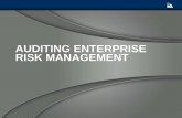 AUDITING ENTERPRISE RISK MANAGEMENT - Webinar · PDF fileERM: A Simple Definition ERM establishes the oversight, control and discipline to drive continuous improvement of an entity’s