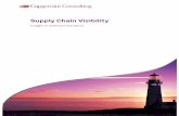 Supply Chain Visibility - Capgemini · PDF fileWhen discussing supply chain visibility, the first thing to address is a comprehensive definition. Since visibility is a buzzword in