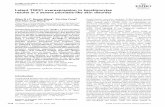 JOJOURNALURNAL Latent TGFb1 overexpression in ...emboj.embopress.org/content/embojnl/23/8/1770.full.pdf · Latent TGFb1 overexpression in keratinocytes results in a severe psoriasis-like