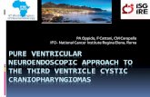 PURE VENTRICULAR NEUROENDOSCOPIC …neuroendoscopy2017.com/wp-content/uploads/2017/11/Prashanth... · In presence of hydrocepalus microsurgical or endoscopic removal of these lesions