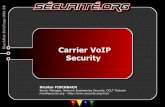 Carrier VoIP Security - Black  · PDF fileMGW Carrier Carrier SIP/RTP ... _ Can be located at different interfaces: Customer/Provider, ... Carrier/Carrier VoIP Security