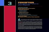 3 PERCEPTION - SAGE Publications · PDF files The vast topic of perception can be subdivided into visual perception, auditory perception, olfactory perception, haptic (touch) perception,
