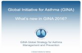 Global Initiative for Asthma (GINA) What’s new in GINA …chicagoasthma.org/wp-content/uploads/2016/07/Whats-new-in-GINA... · © Global Initiative for Asthma GINA Global Strategy