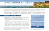 COST-BENEFIT ANALYSIS · PDF fileCOST-BENEFIT ANALYSIS SAN DIEGO REGION BACTERIA TOTAL MAXIMUM DAILY LOADS Pathogens can threaten the health of those who recreate along the coastline