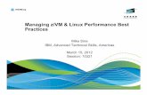 Managing zVM and LInux Performance Best Practices · PDF fileManaging z/VM & Linux Performance Best Practices Mike Sine ... Virtual CPUs (ex: Running Websphere, Oracle) ... •Linux