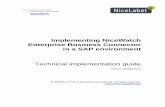 Implementing NiceWatch Enterprise Business Connector …ftp.nicelabel.com/docs/NWEBC/SAP_implementation-eng.pdf · SAP configuration Define the data source (XML or csv) structure