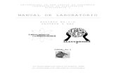 MANUAL DE LABORATORIO - labelectronica.weebly.comlabelectronica.weebly.com/uploads/8/1/9/2/8192835/manual_1d.pdf · manual de laboratorio folleto no.1-d proteus y bs2 universidad