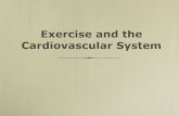 Exercise and the Cardiovascular System - EIUcfje/4340/4340-CV2.pdf · ¥ During exercise the O2 demand of the muscles increa se ... Circulatory Responses to Incremental Exercise Cardiac
