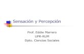 Sensacióny Percepción - academic.uprm.eduacademic.uprm.edu/eddiem/psic3001/HTMLobj-315/Microsoft_PowerP… · sensacion-percepcion Author: eddie marrero Created Date: 10/14/2006