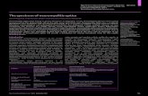 The spectrum of neuromyelitis optica - Orphanet · PDF fileThe spectrum of neuromyelitis optica Dean M Wingerchuk, Vanda A Lennon, Claudia F Lucchinetti, Sean J Pittock, Brian G Weinshenker