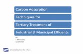 Carbon Adsorption Techniques for Tertiary Treatment of ...ev.ldcealumni.net/papers/gchem_carbon.pdf · Activated Carbon for Future Carbon Adsorption . Techniques for . Tertiary Treatment