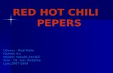 Red hot chili pepers -  · PDF filePrvi album The Red Hot Chilli Peppers leta 1984 so ... One Hot MinuteOne Hot Minute, ... hot-chili-peppers/red-hot