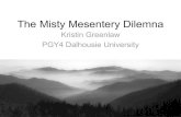 The Misty Mesentery Dilemna - nsradiologists.cansradiologists.ca/arc/wp-content/uploads/2014/10/Misty-mesentery... · The Misty Mesentery Dilemna ... M. N., Stone, J. H., ... Dodd,