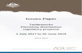 AER issues paper - TasNetworks electricity distribution ... - Issues paper …  · Web viewTasNetworks electricity distribution regulatory proposal 2017–19 ... The objective of