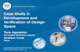 Case Study 2: Development and Verification of Design PDA ... · PDF fileCase Study 2: Development and ... Tone Agasøster Norwegian Medicines Agency Graham Cook Pfizer ... – Design