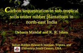 Carbon sequestration in sub-tropical soils under rubber ... · PDF filearbon sequestration in sub-tropical soils under rubber plantations in ... Plantation Shoot Root Total age ...