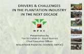 DRIVERS’&’CHALLENGES’’ IN’THE’PLANTATION’ · PDF fileDRIVERS’&’CHALLENGES’’ IN’THE’PLANTATION’INDUSTRY ... • Rubber+will+be+aﬀected+more+by ... said