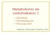 Metabolismo de carbohidratos 1 - Just another WordPress ... · PDF file•Descarboxilación oxidativa • Si no hay O 2, el NADH no se puede volver a oxidar a NAD en la cadena respiratoria
