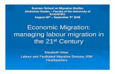 Economic Migration: managing labour migration in the 21 ... · PDF fileEconomic Migration: ... EURES equivalent? ... Targeted pre-departure training and skills upgrading (European