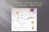 Central Nervous System Significant aspects and components ... · PDF fileSignificant aspects and components of Spinal Cord Spinal cord and cross-sectional significance Dorsal, ...