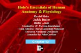 Hole’s Essentials of Human Anatomy & Physiologyhhh.gavilan.edu/jcrocker/documents/Ch13pdf.pdf · The cardiovascular system consists of 1. Heart 2. Blood vessels a) Arteries b) capillaries