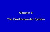 Chapter 9 The Cardiovascular Systems/EGAN'SChapter_09… · Chapter 9 The Cardiovascular System. ... Describe how the cardiovascular system coordinates its functions under normal