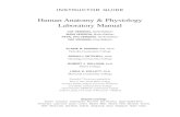Human Anatomy & Physiology Laboratory Manual - …testbanktop.com/wp-content/uploads/2016/11/Downloadable-Test-Ban… · Human Anatomy & Physiology ... Exercise 33A Human Cardiovascular