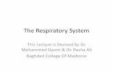 The Respiratory System - comed.uobaghdad.edu.iq terminology... · 3 Objectives After studying this chapter, you will be able to: •Name the parts of the respiratory system. •Define