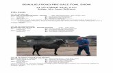 BEAULIEU ROAD PRE-SALE FOAL SHOW 21 OCTOBER …nfponies.info/filesBR/Catalogue 2015-10-21 foal show.pdf · LOT 28 Mr Dominic May HATCHETTMILL FORTH Y57/062 Dark Bay/ Brown., New Forest