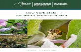 New York State Pollinator Protection · PDF fileThe New York State Pollinator Protection Plan is a living document and will ... Governor Andrew M. Cuomo announced that ... pollinator