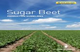 Sugar Beet - d3u1quraki94yp.cloudfront.netd3u1quraki94yp.cloudfront.net/nhag/.../sugar-beet-agronomy-brochure... · 2 Production Guidelines 3 Crop Rotation 4 Tillage 6 Planting 7