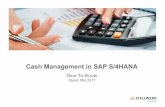 Cash Management in SAP S4HANA Nice-To- · PDF fileSeite 36 Seite 39. 3 Übersicht SAP Cash Management. ... SAP HANA + S/4HANA Finance One Exposure Bankkontenverwaltung Cash Operations