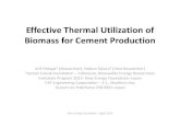 Effective Thermal utilization of Biomass for Cement · PDF fileSemen Indonesia (Persero) Tbk. ... The conclusions of this study on "Effective Thermal Utilization of Biomass for Cement