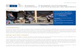 Ukraine, ECHO factsheet - European Commissionec.europa.eu/echo/files/aid/countries/factsheets/ukraine_en.pdf · Being one of the largest humanitarian donors to the humanitarian crisis