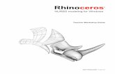 Rhino Teacher Workshop Guide v3 - HRSBSTAFF Home …hrsbstaff.ednet.ns.ca/dlee/dsn/assignments/Rhino/introduction/... · With Rhino, you can create free-form curves, surfaces, ...