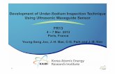 Development of Under-Sodium Inspection Technique Using ... · PDF fileDevelopment of Under-Sodium Inspection Technique Using Ultrasonic Waveguide Sensor ... Matrix array sensor ...