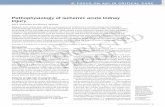 pathophysiology of ischemic acute kidney injurystatic.medicine.iupui.edu/obrien/publications/Intravital/34... · sRRCD F 2 | aDvanCe OnLine PuBLiCatiOn initiates a cascade of neural